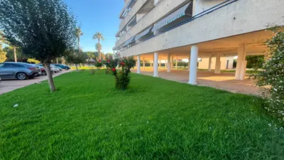 Apartment in Nuevo Portil photo 16