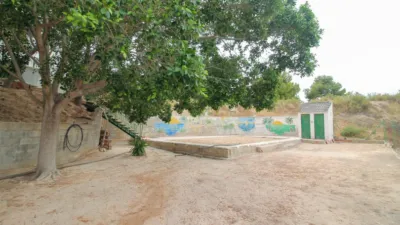 Rustic Finca in Partida Fossos photo 26