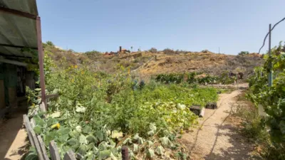 Rustic Finca on Carretera TF-617 photo 43