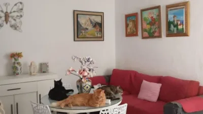 House in Malasmañanas photo 7