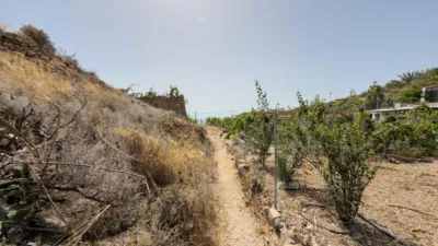 Rustic Finca on Carretera TF-617 photo 51