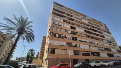 Apartment on Carrer Bogavante photo 22