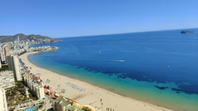 Pis – Benidorm - Vista 3