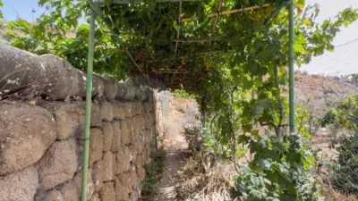 Rustic Finca on Carretera TF-617 photo 60