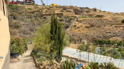 Rustic Finca on Carretera TF-617 photo 48