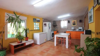 Rustic Finca in Partida Fossos photo 8