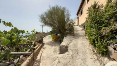 Rustic Finca on Carretera TF-617 photo 62