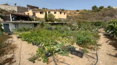Rustic Finca on Carretera TF-617 photo 45
