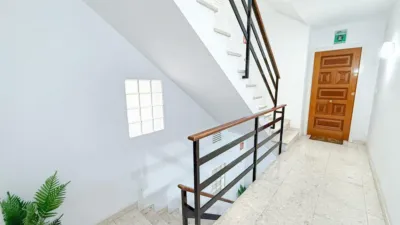 Apartment on Carrer del Puig Rom photo 44