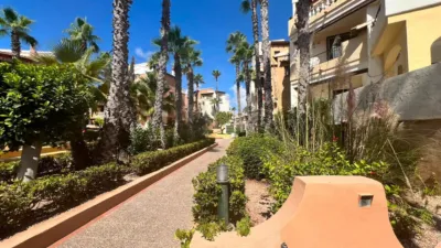 Apartment in Playa de los Locos photo 9