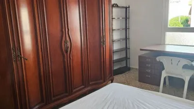 Pis – Sant Vicent del Raspeig - San Vicente del Raspeig, l'Alacantí - Vista 5