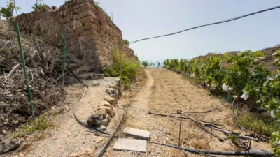 Rustic Finca on Carretera TF-617 photo 47
