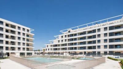 Apartment in Nuevo Bulevar photo 23