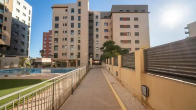 Apartment on Francisco Rabal Street photo 32
