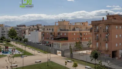 Top floor apartment in Vega de Granada, Northwest Zone photo 33