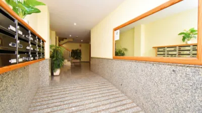 Apartment in Centro Ejido photo 3