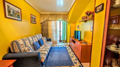 Penthouse in Noja photo 4