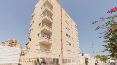 Pis – Torrevieja - Vista 5