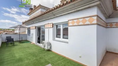 Top floor apartment in Vega de Granada, Northwest Zone photo 3