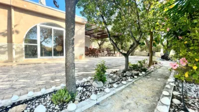 Casa – Crevillent, el Baix Vinalopó - Vista 4