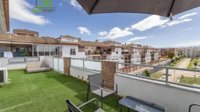 Top floor apartment in Vega de Granada, Northwest Zone photo 2