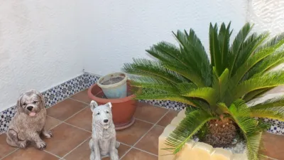 House in Polideportivo photo 17