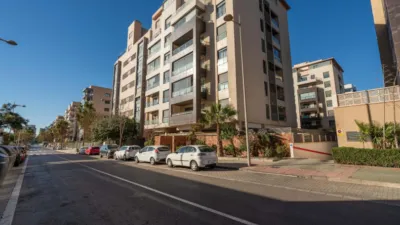 Apartment on Francisco Rabal Street photo 35