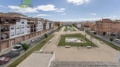 Top floor apartment in Vega de Granada, Northwest Zone photo 5