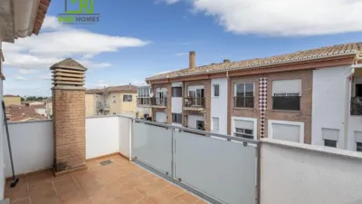 Top floor apartment in Vega de Granada, Northwest Zone photo 20
