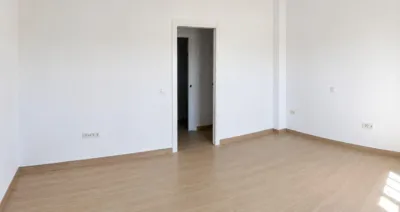 Apartment in Plaza del Estero photo 3