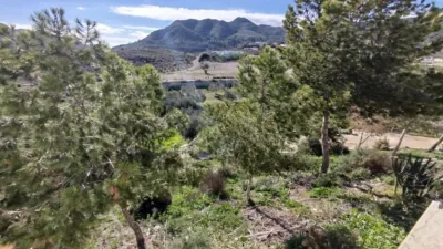 Rustic finca in Leiva photo 4