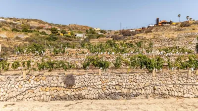 Rustic Finca on Carretera TF-617 photo 97