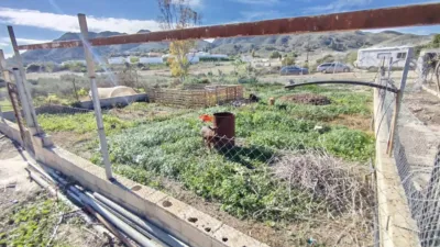 Rustic finca in Leiva photo 27