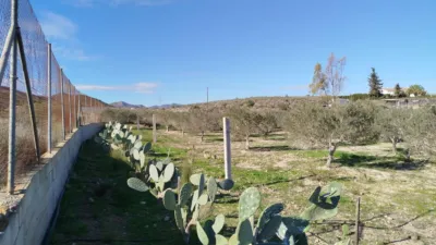 Rustic finca in Leiva photo 21