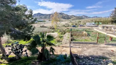 Rustic finca in Leiva photo 20