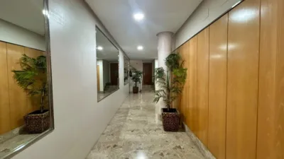 Apartment in El Ejido Centre photo 30