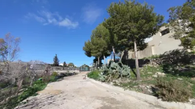 Rustic finca in Leiva photo 18