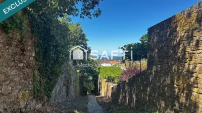 Apartment in Campus Norte-San Caetano photo 32