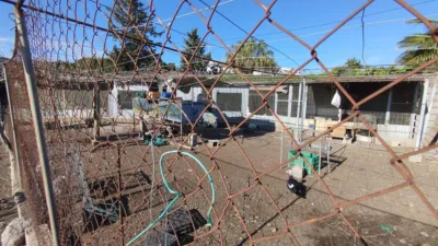 Rustic finca in Leiva photo 37