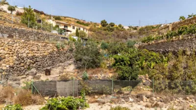 Rustic Finca on Carretera TF-617 photo 98