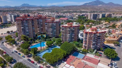 Apartment on Avenida de Ausiàs March photo 45