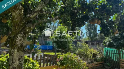 Apartment in Campus Norte-San Caetano photo 29