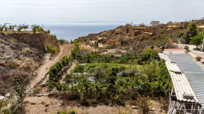 Rustic Finca on Carretera TF-617 photo 99