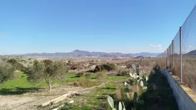 Rustic finca in Leiva photo 22