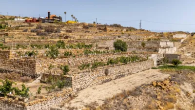Rustic Finca on Carretera TF-617 photo 87