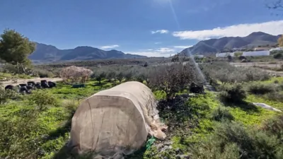 Rustic finca in Leiva photo 23