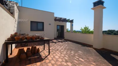 House on Carretera Pedret photo 55