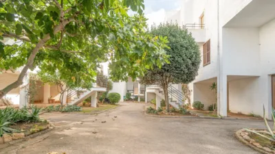 Duplex in Sol de Mallorca photo 40