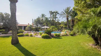 Casa – Elx - Elche - Vista 3