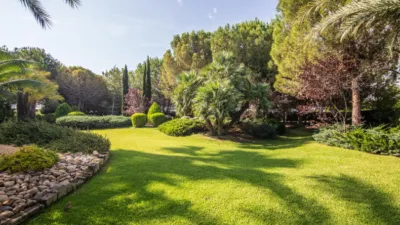 Casa – Elx - Elche - Vista 5